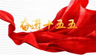 奋进十五五